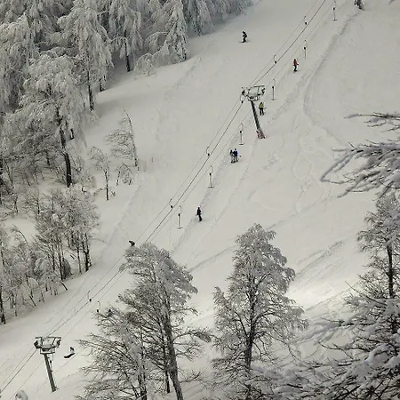 リゾート ザ グリーン パーク カルテペ カーテペ