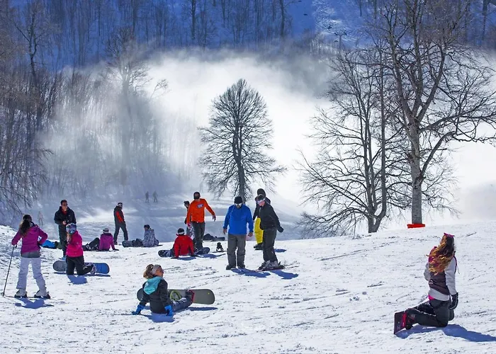 The Park كارتيبي