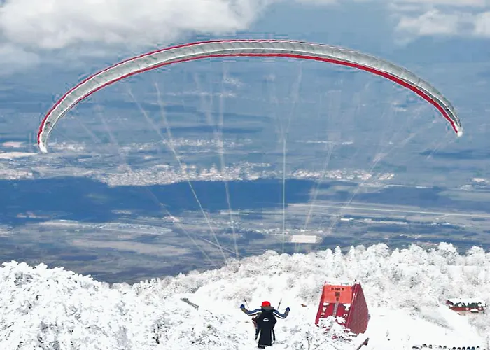 منتجع The Park 4*