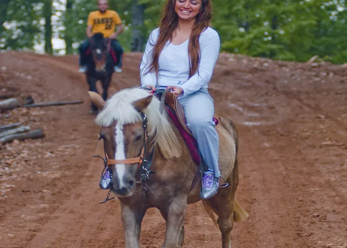 The Park 4* كارتيبي