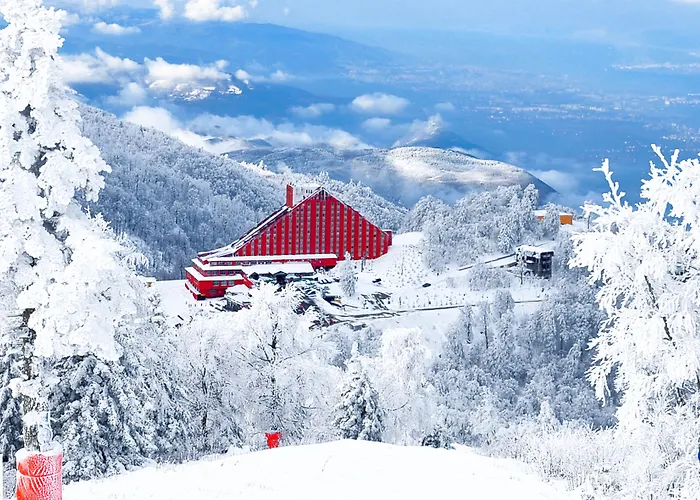 The Park منتجع 4*