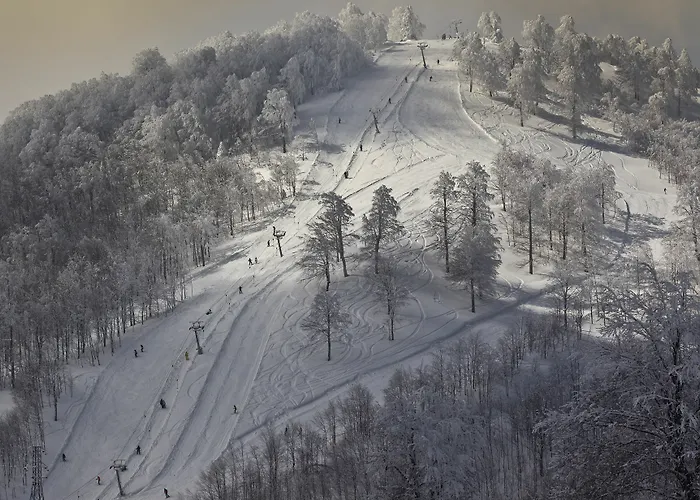 The Park منتجع كارتيبي